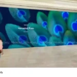 Apple retail store