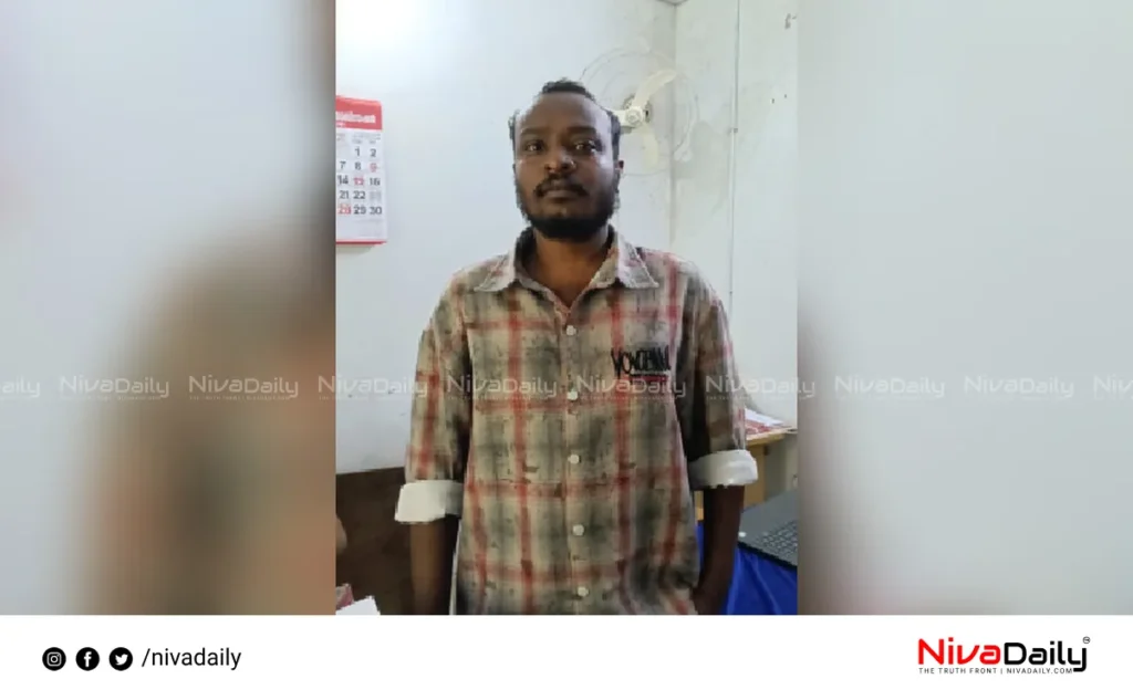 rape case