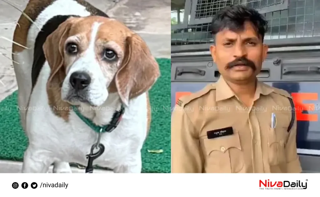 constable assault case