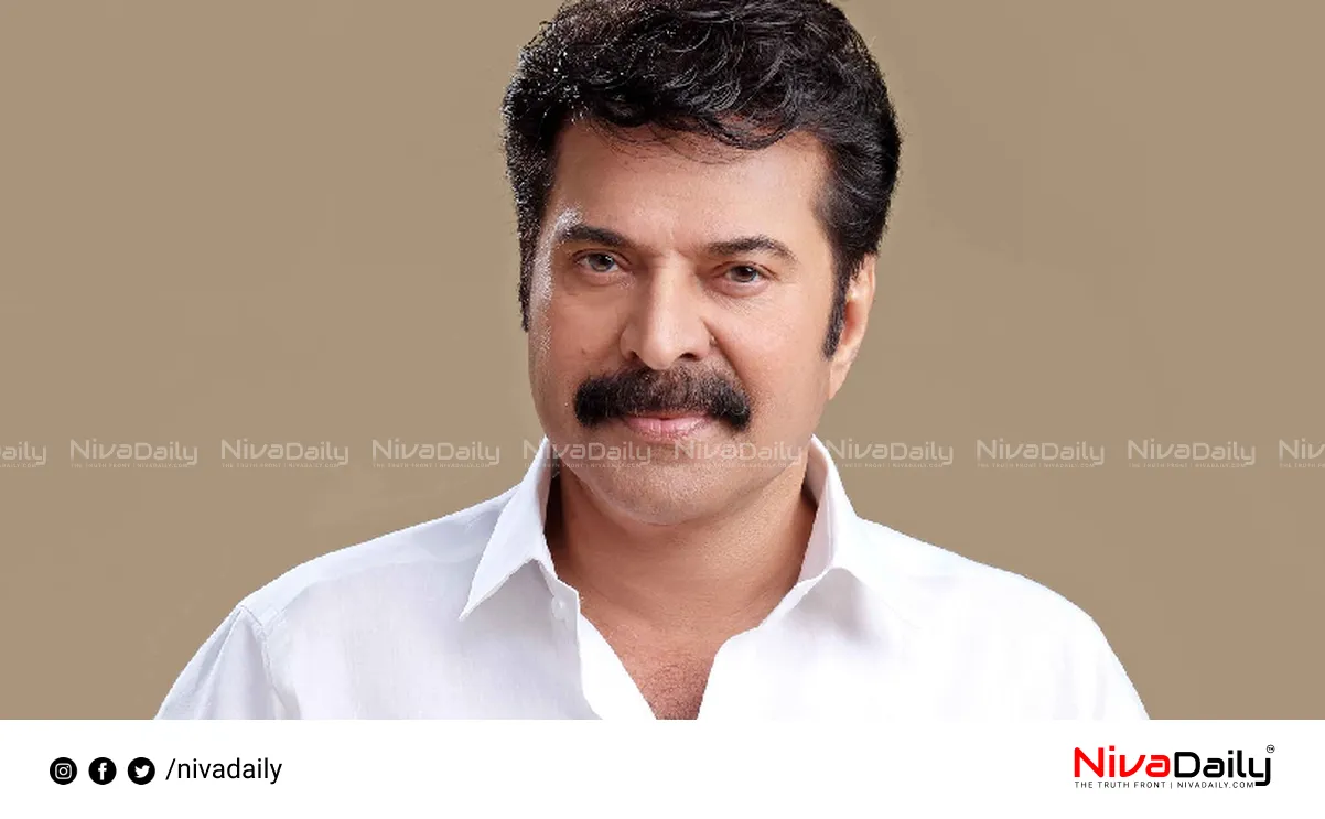 AMMA new team