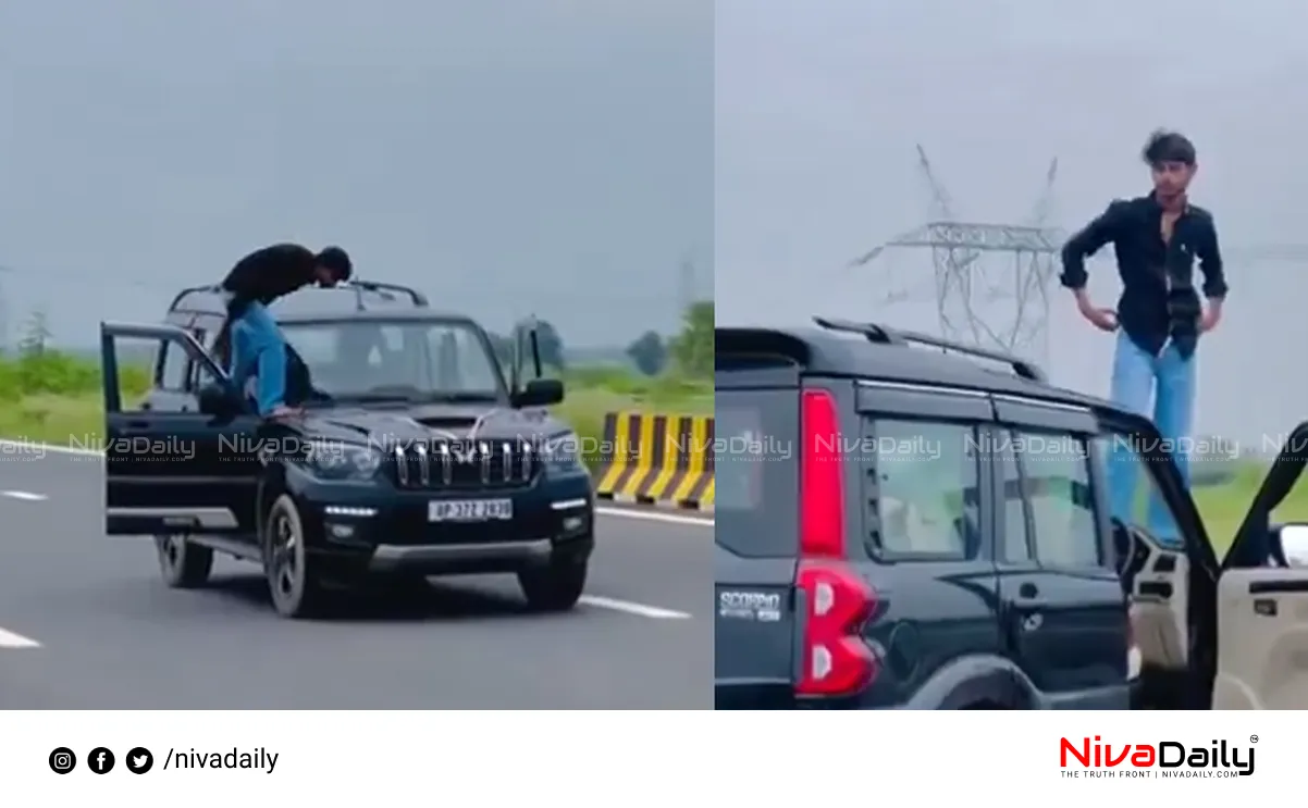 scorpio stunt video