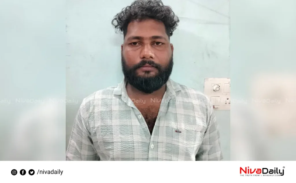 Cyber Crime Arrest