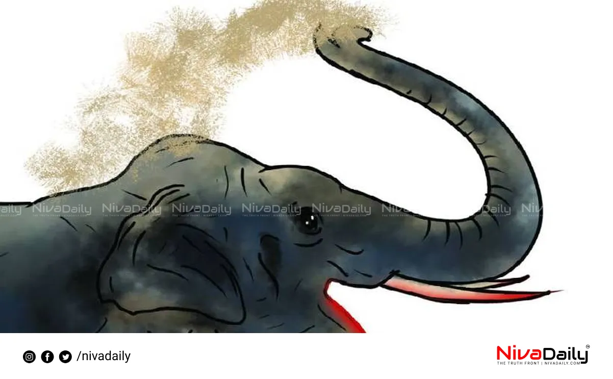 Elephant attack