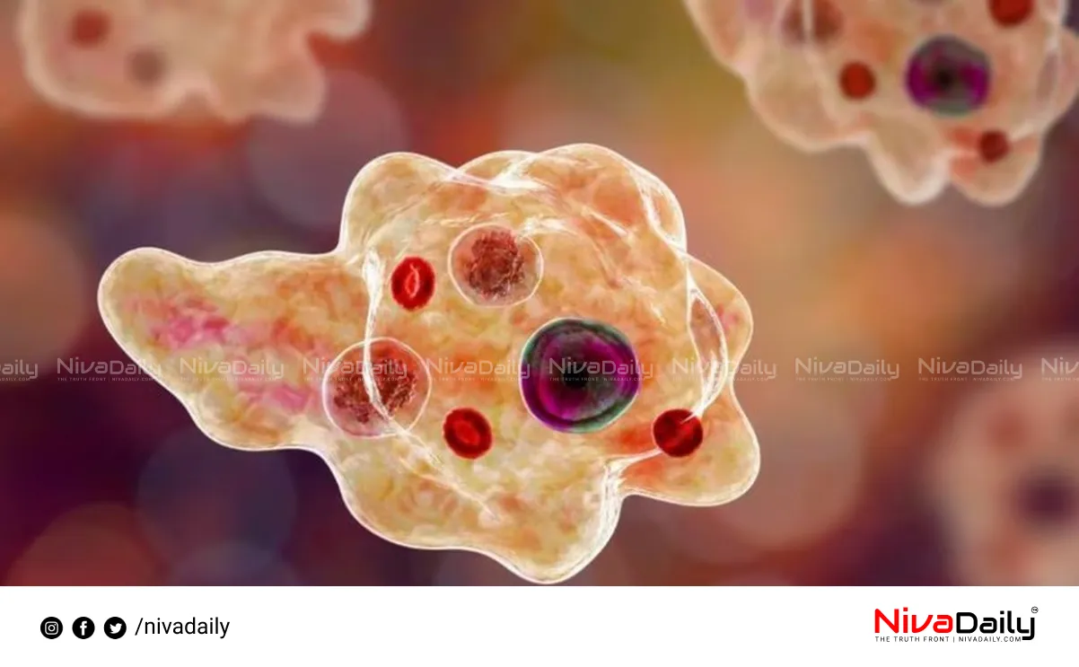 Amoebic Encephalitis Kerala