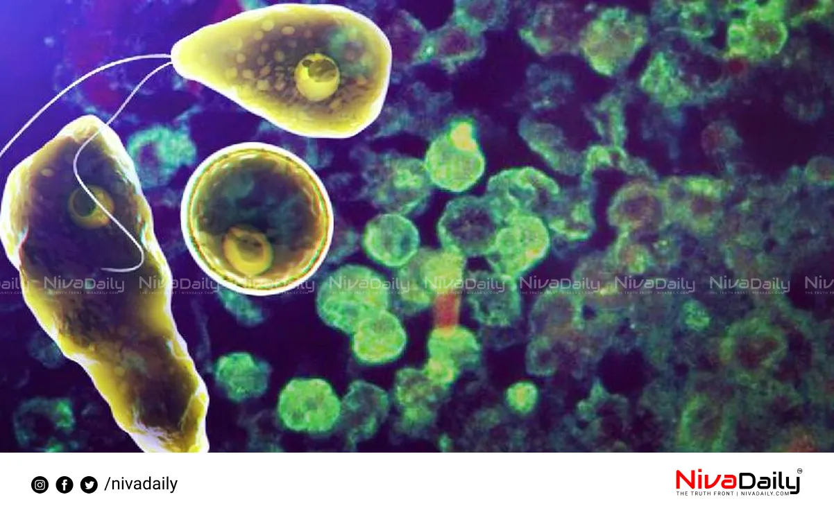 amebic meningitis prevention