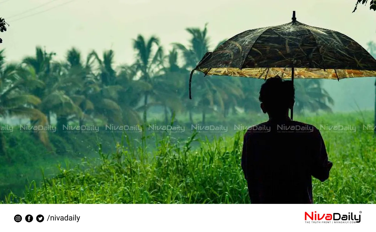 Kerala monsoon rainfall