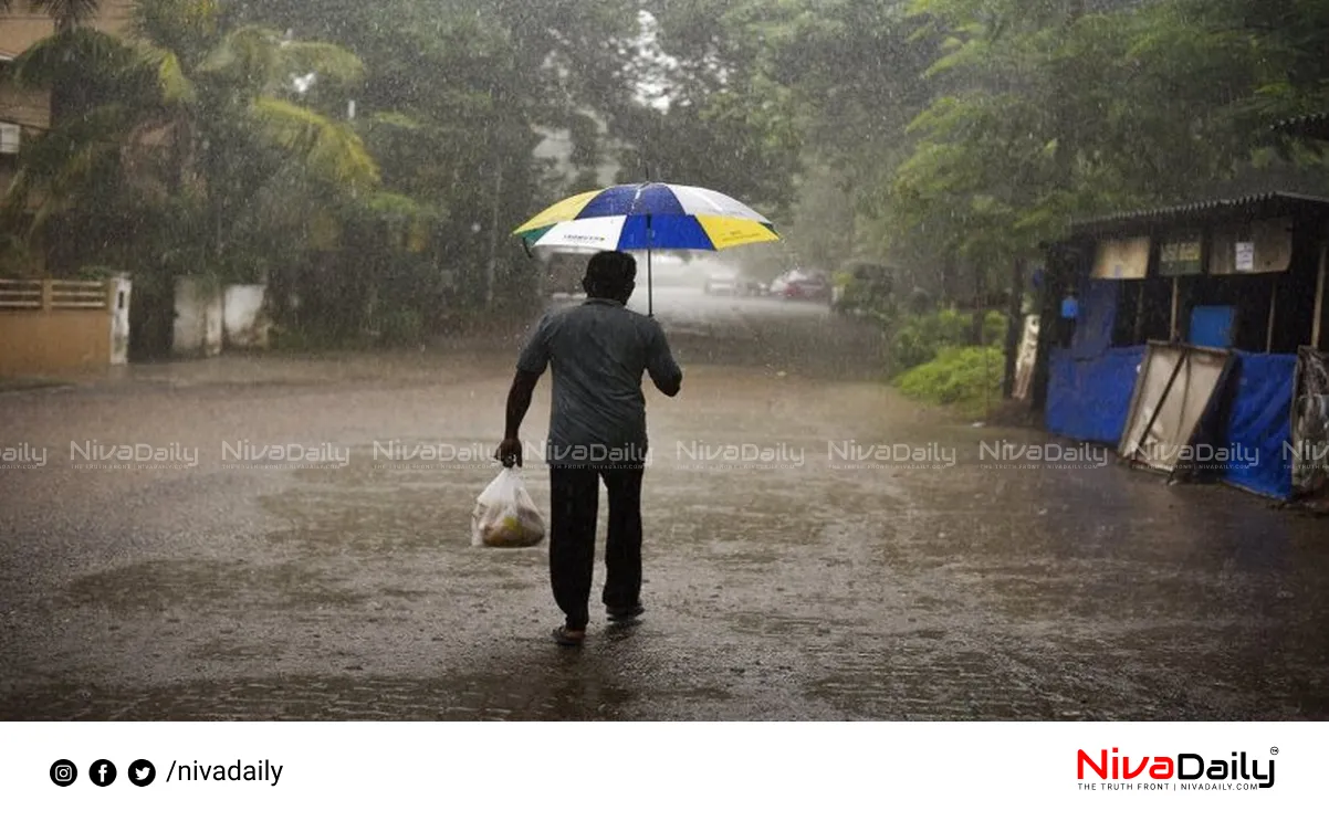 Kerala monsoon rainfall