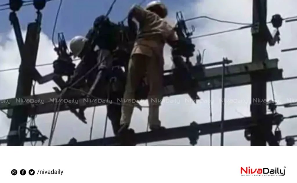 electric shock wadakkanchery