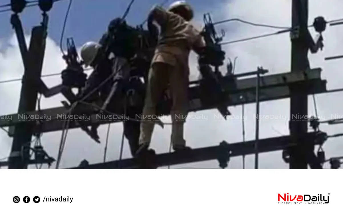 electric shock wadakkanchery