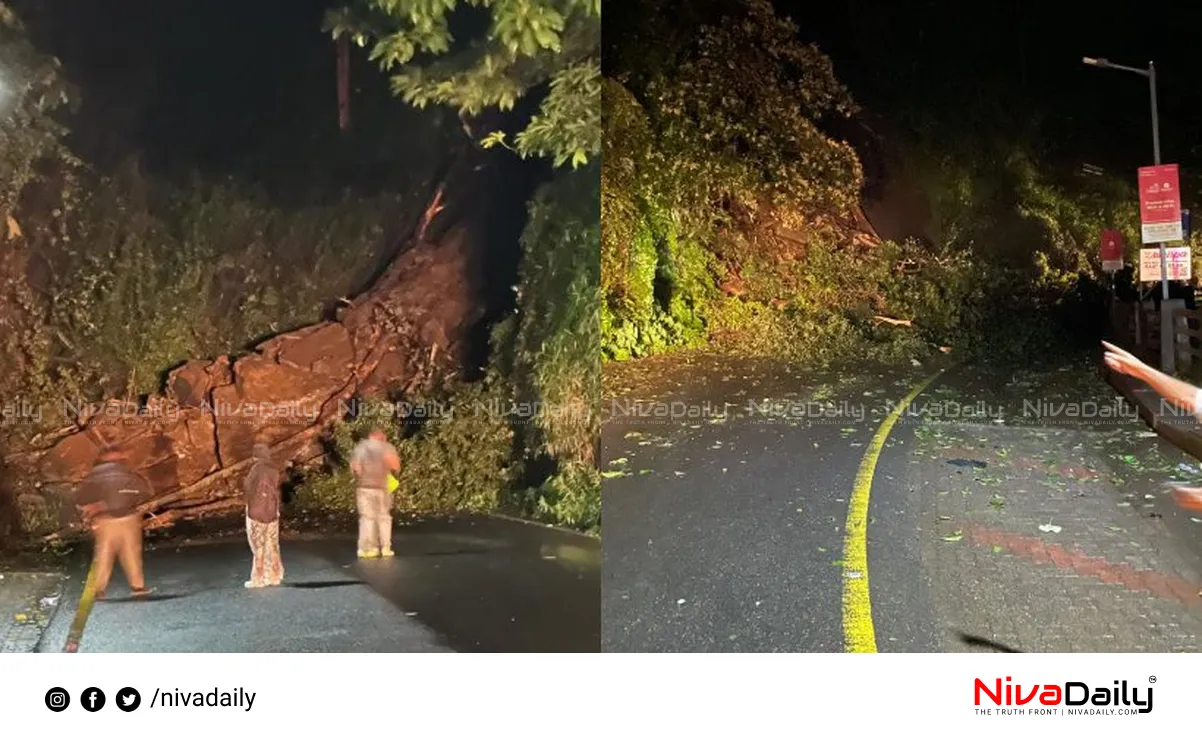 Thamarassery Churam landslide