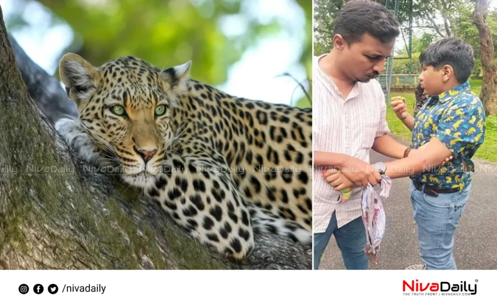 Leopard attack