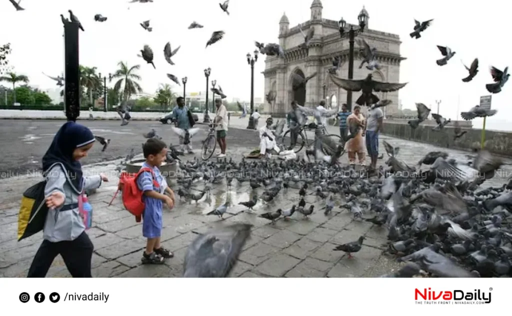 Mumbai pigeon feeding