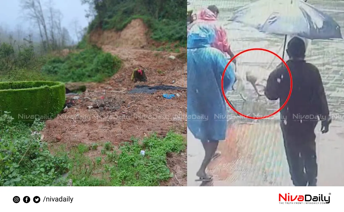 Munnar Panchayath case