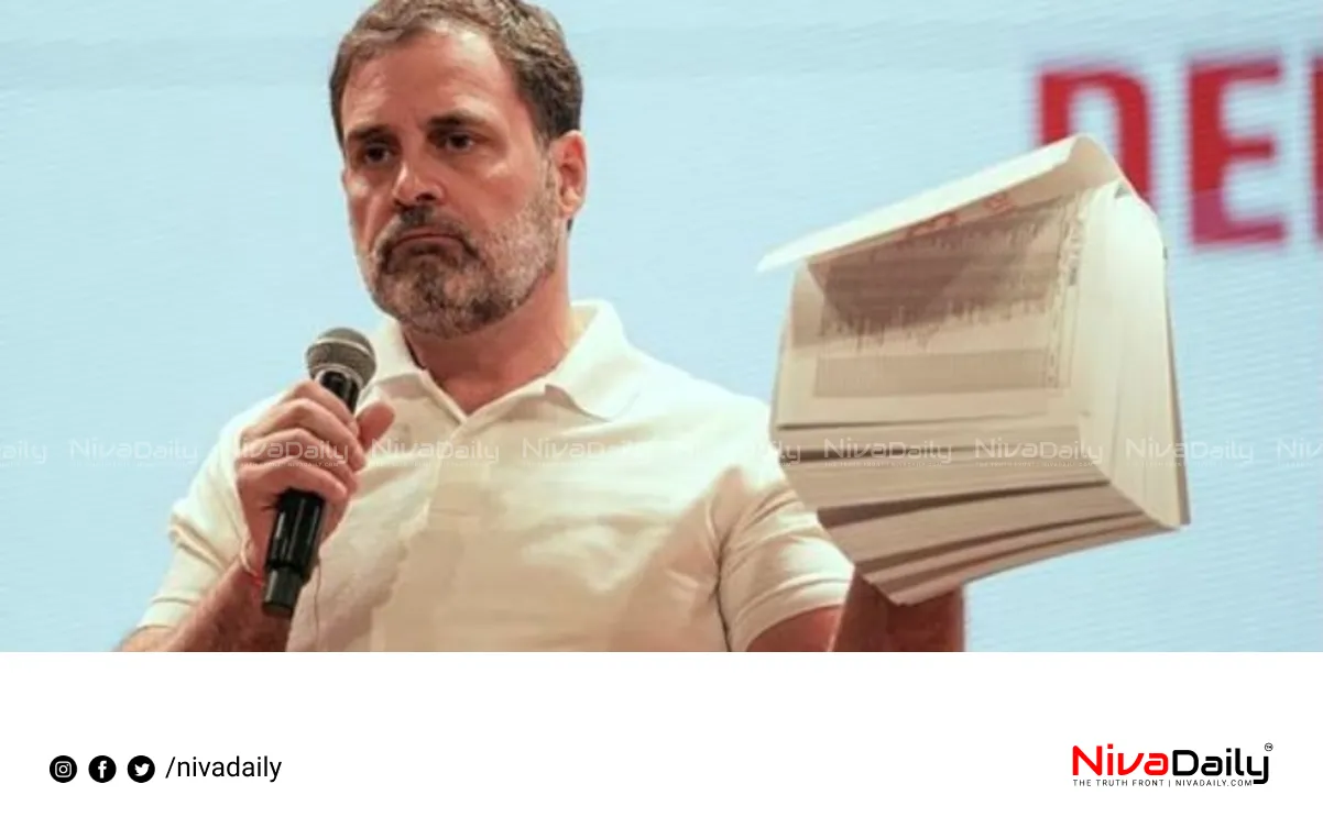 Rahul Gandhi Allegations