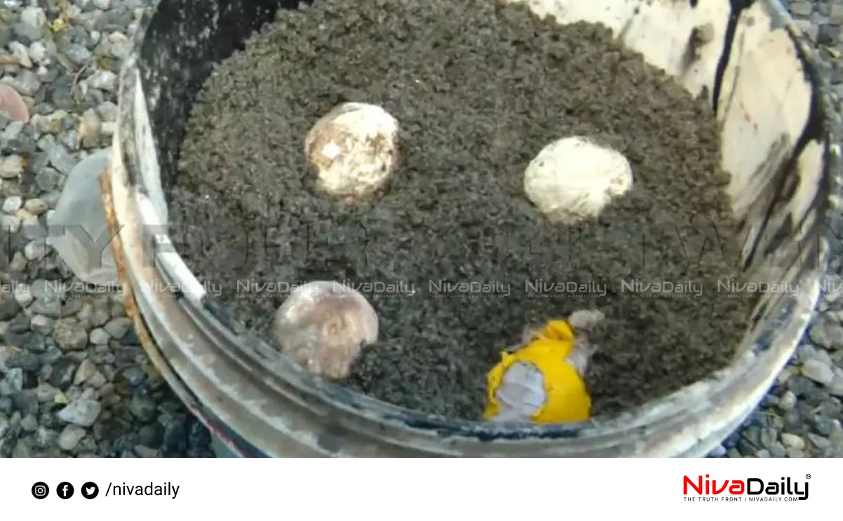 explosive device explosion