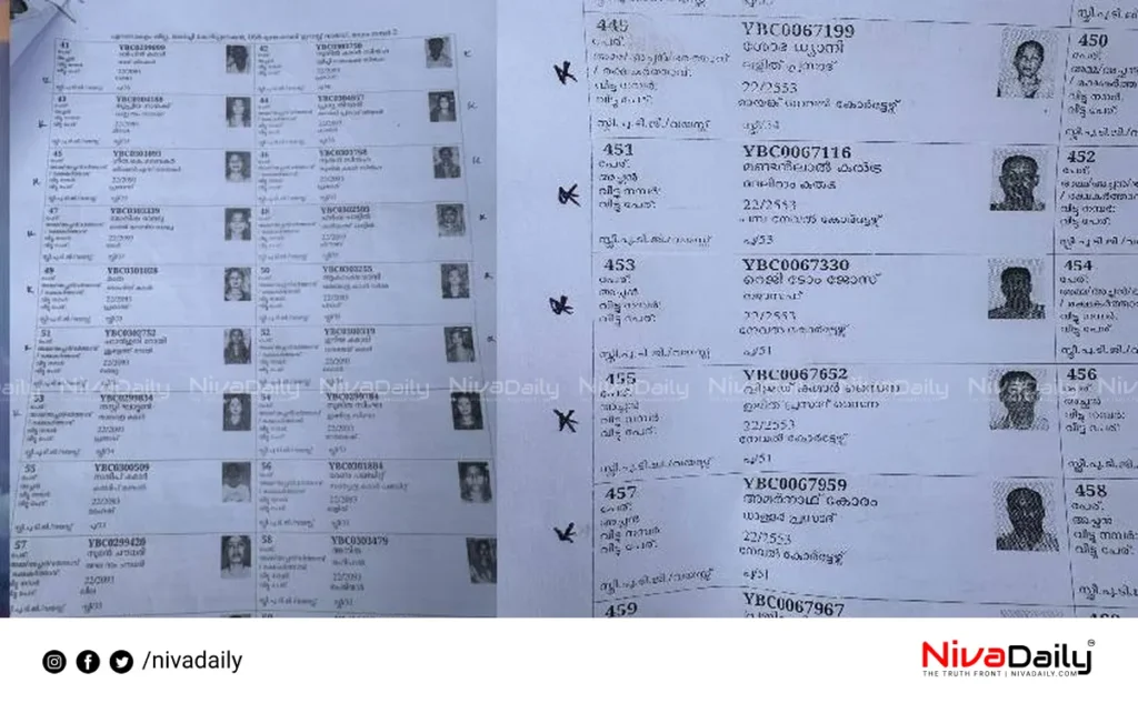Voter List Irregularities