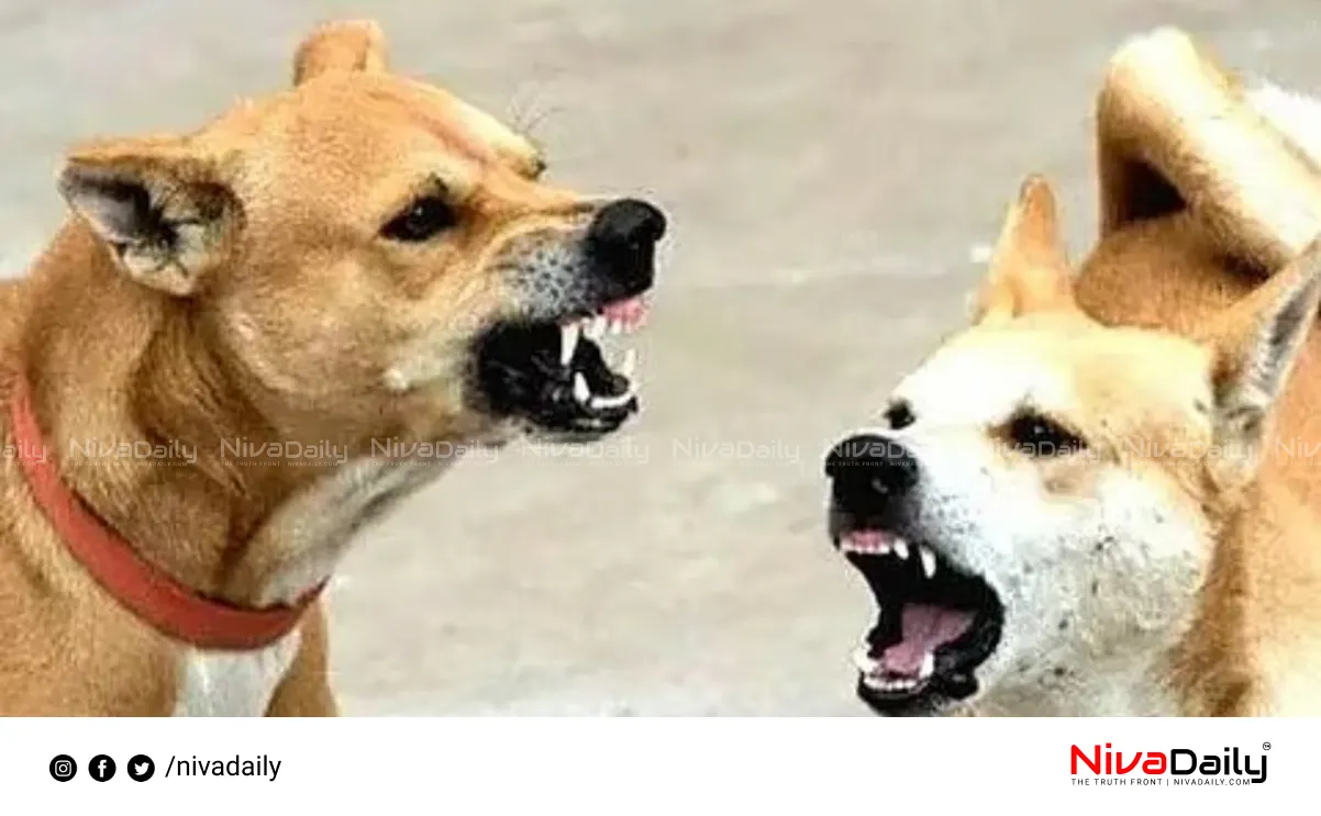 street dog attack