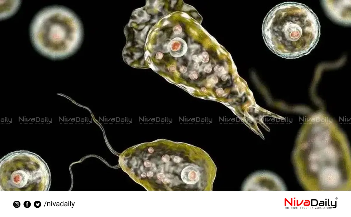 Amebic Meningoencephalitis