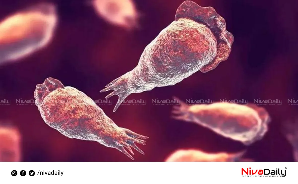 Amebic Meningoencephalitis death