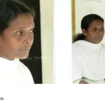 fake theft case