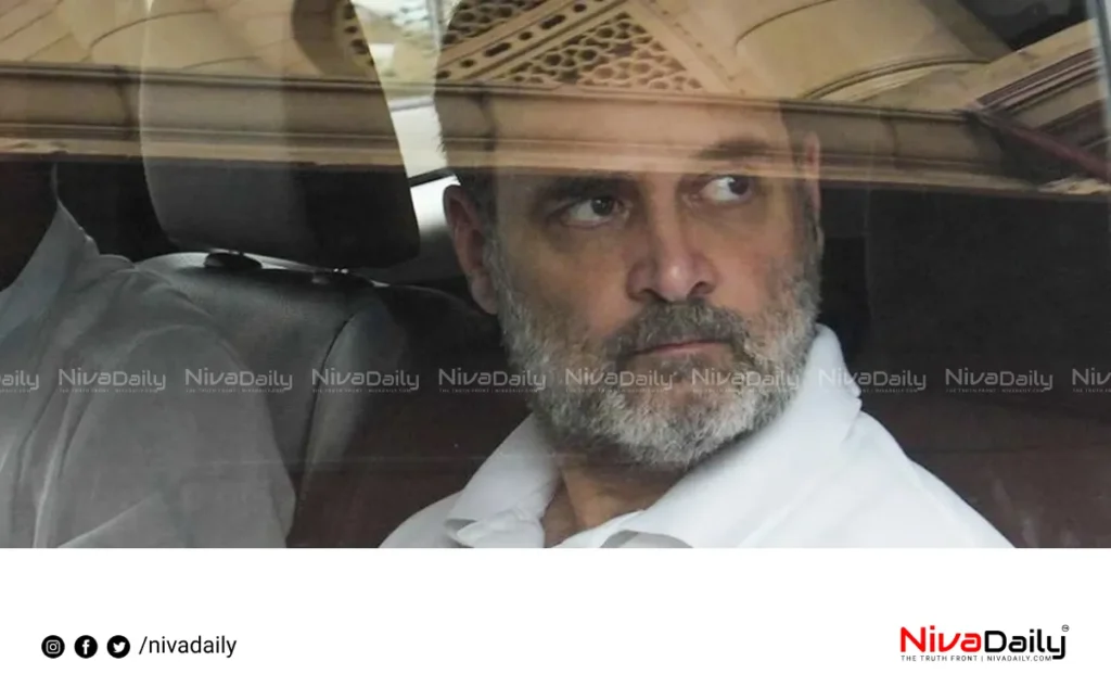Rahul Gandhi security
