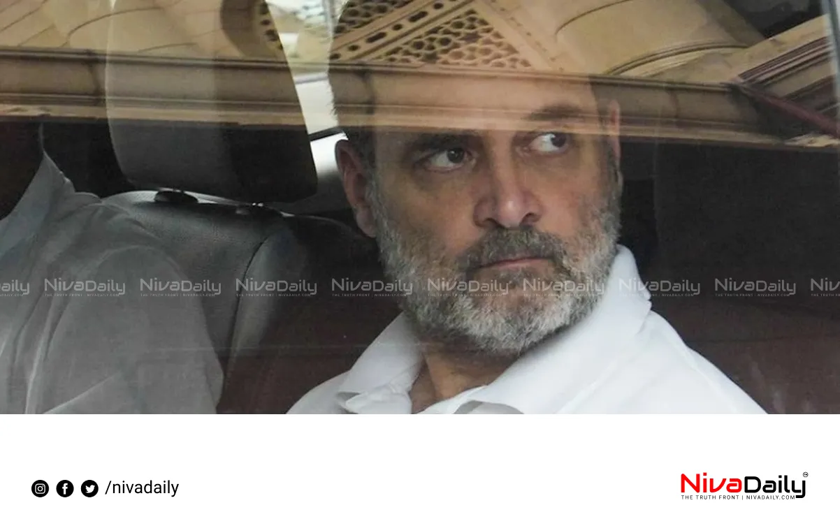 Rahul Gandhi security