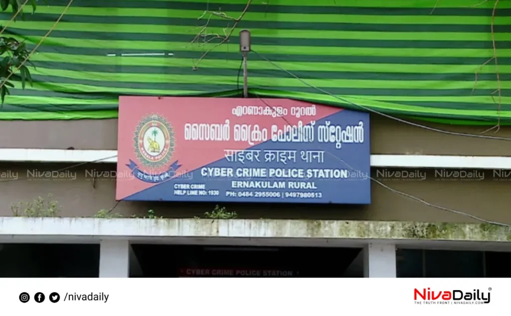Cyber attack case