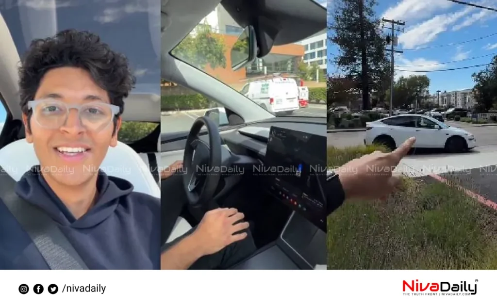 Tesla Robotaxi