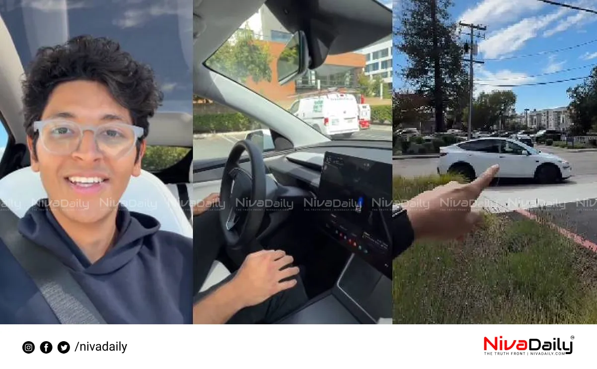 Tesla Robotaxi