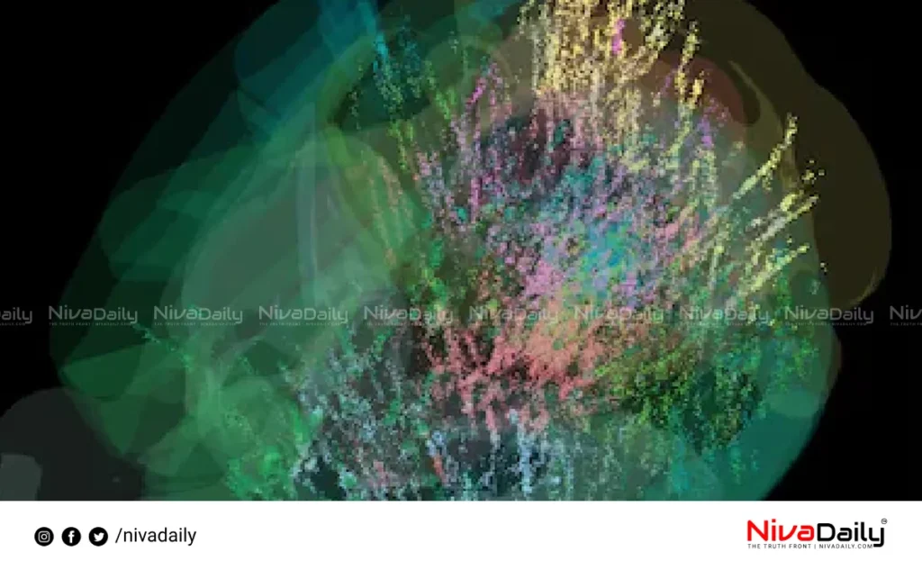 brain activity research