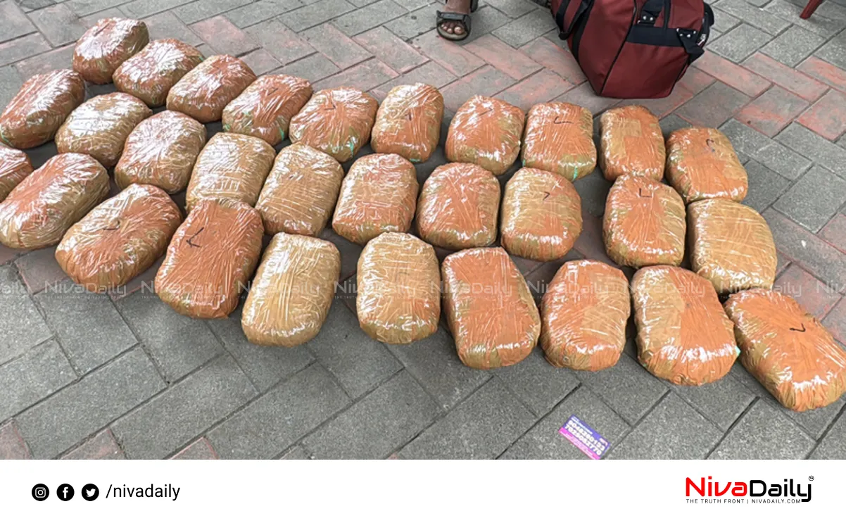 cannabis seized kerala