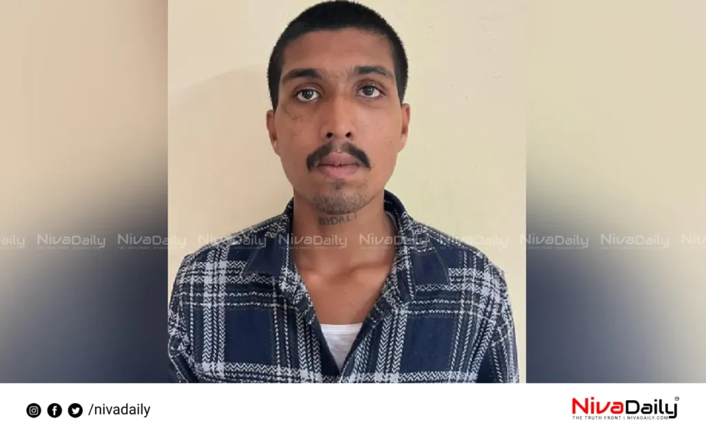 Vehicle Theft Case