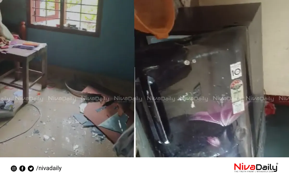Drug Mafia Attack