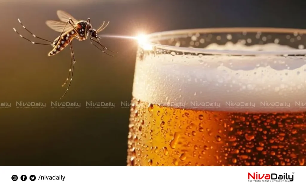 mosquitoes and beer