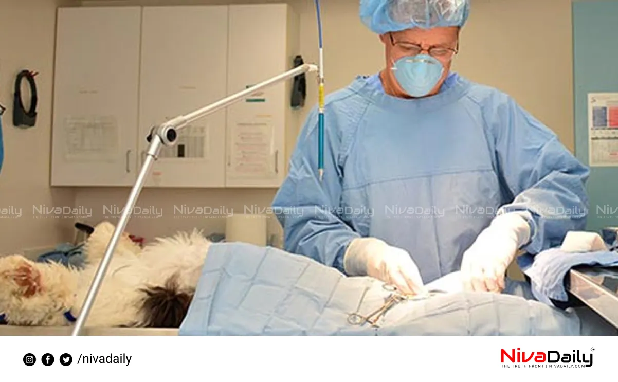 Veterinary Surgeon Appointment