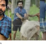 Ashok Kumar bull attack