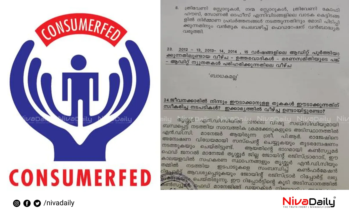 Consumerfed irregularities