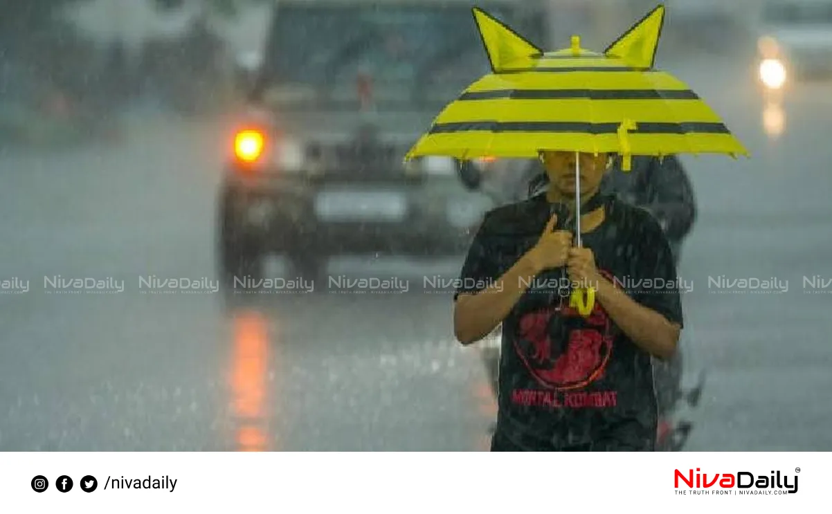 Kerala rain alert