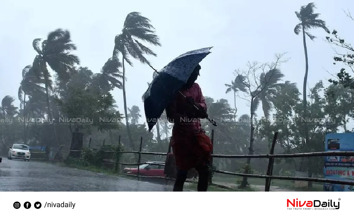 Kerala monsoon rainfall