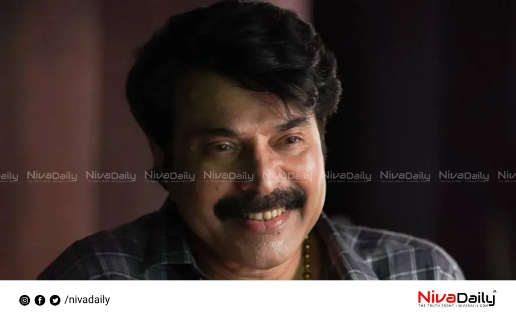 Mammootty back to film