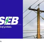 KSEB employee deaths
