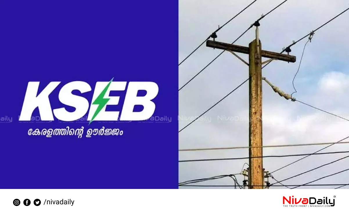KSEB employee deaths