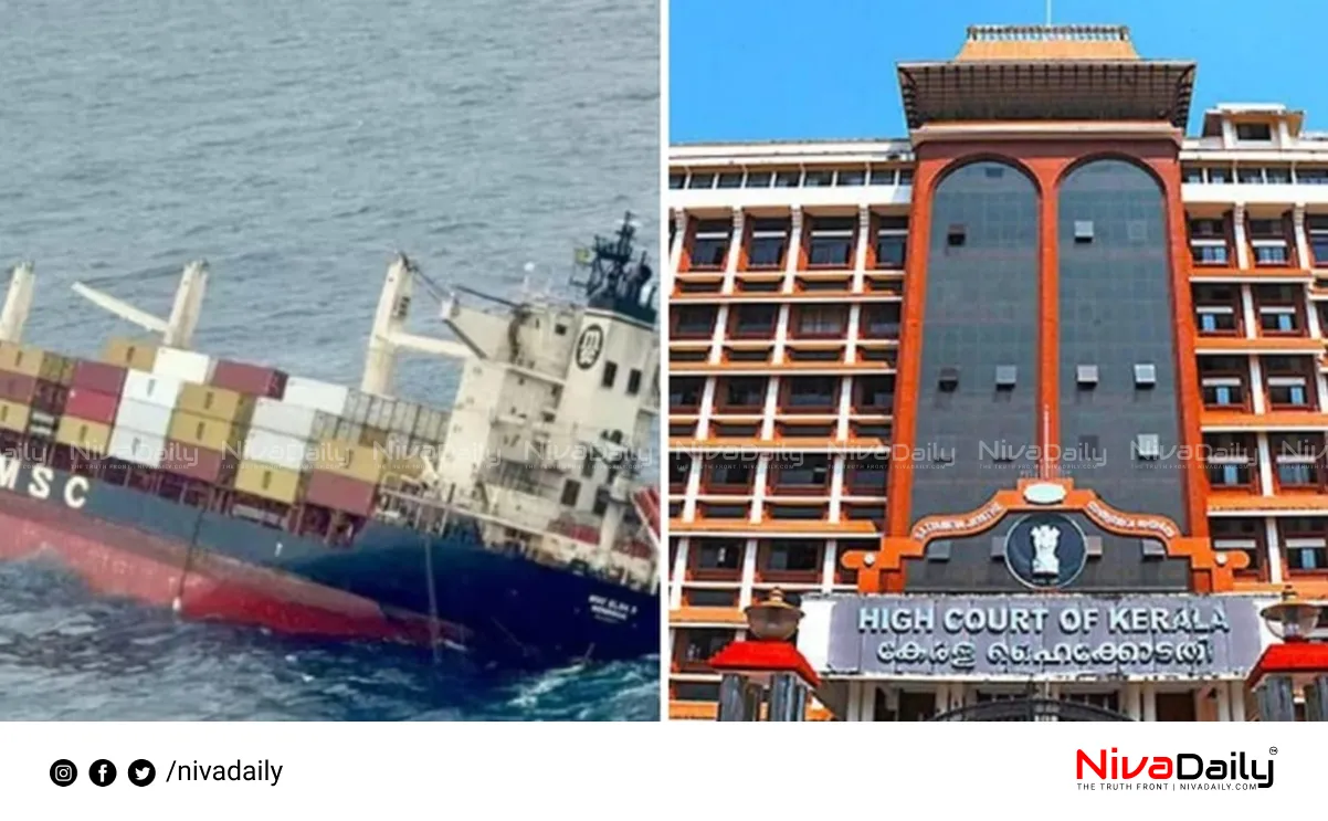 MSC Elsa 3 accident