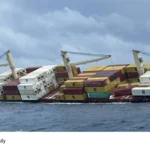 MSC Elsa 3 Ship