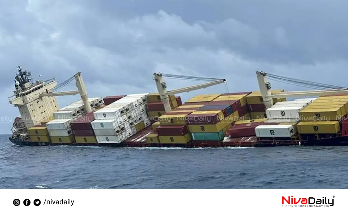 MSC Elsa 3 Ship