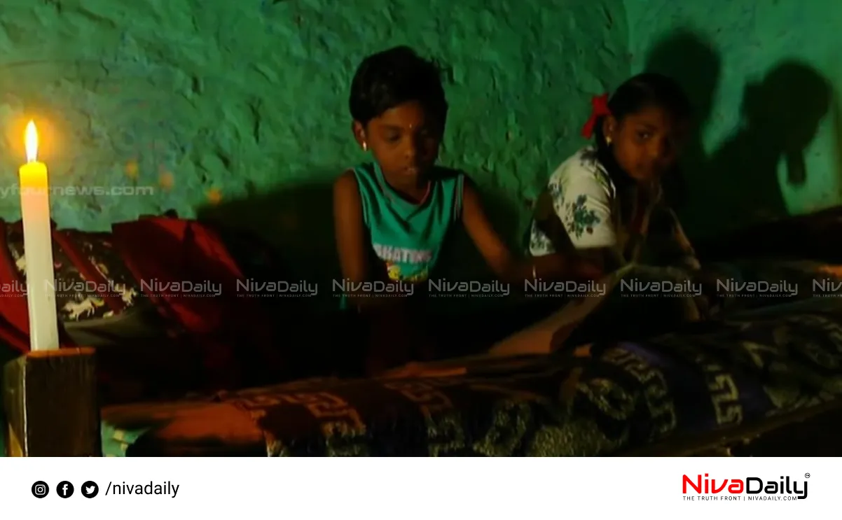 Idukki electricity crisis