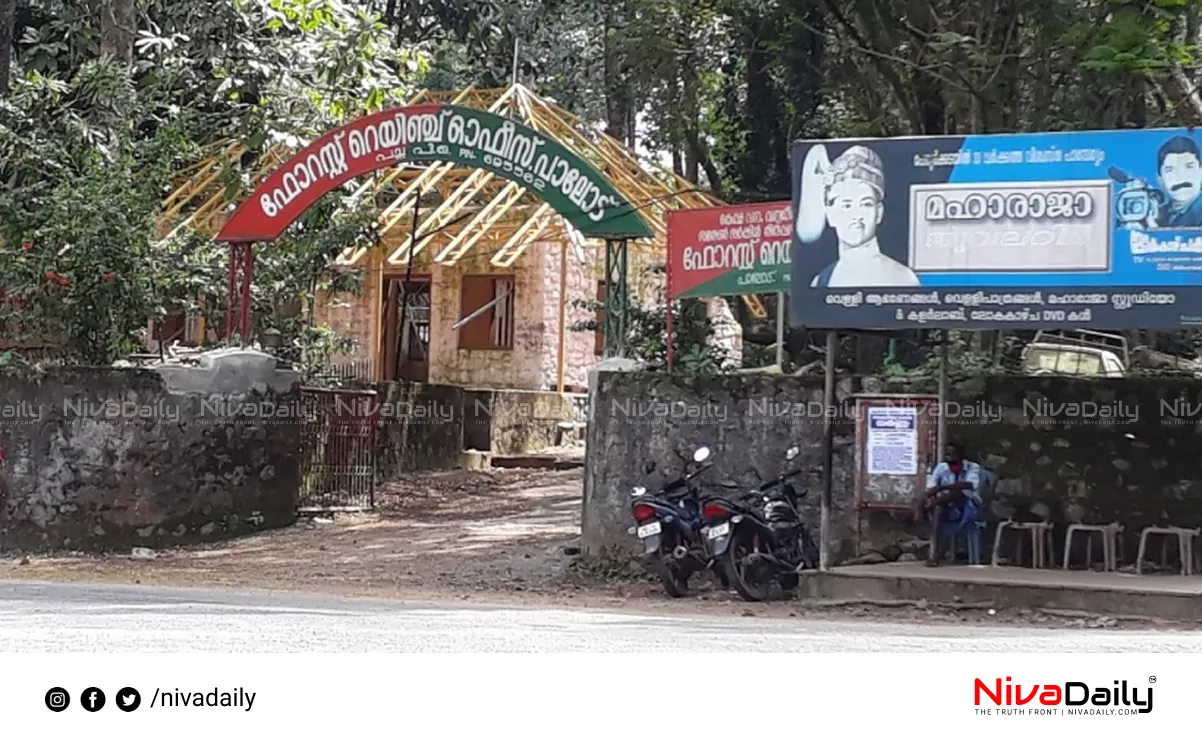 Vigilance check in forest