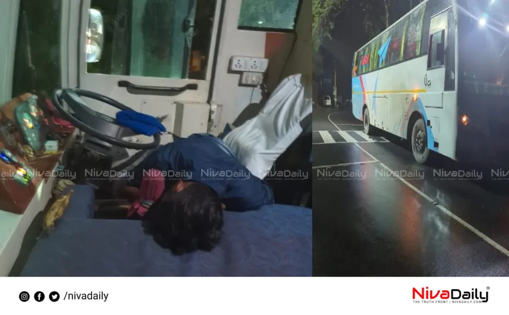 Tourist bus driver drunk