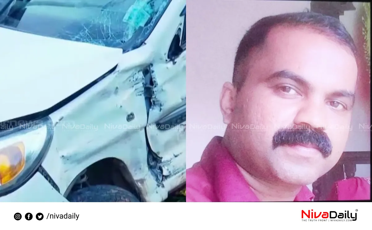 Kasaragod car accident