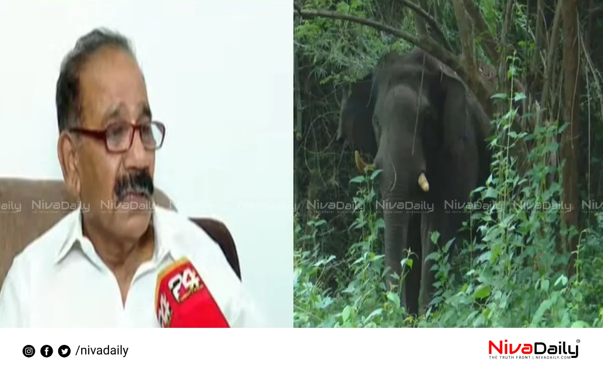 PT 5 elephant treatment